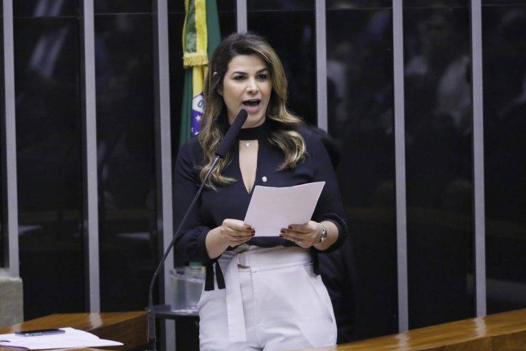 Deputada do Piauí quer regulamentar transporte de pets em viagens no Brasil